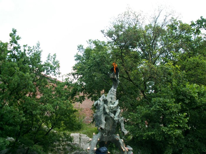 krakow (141)